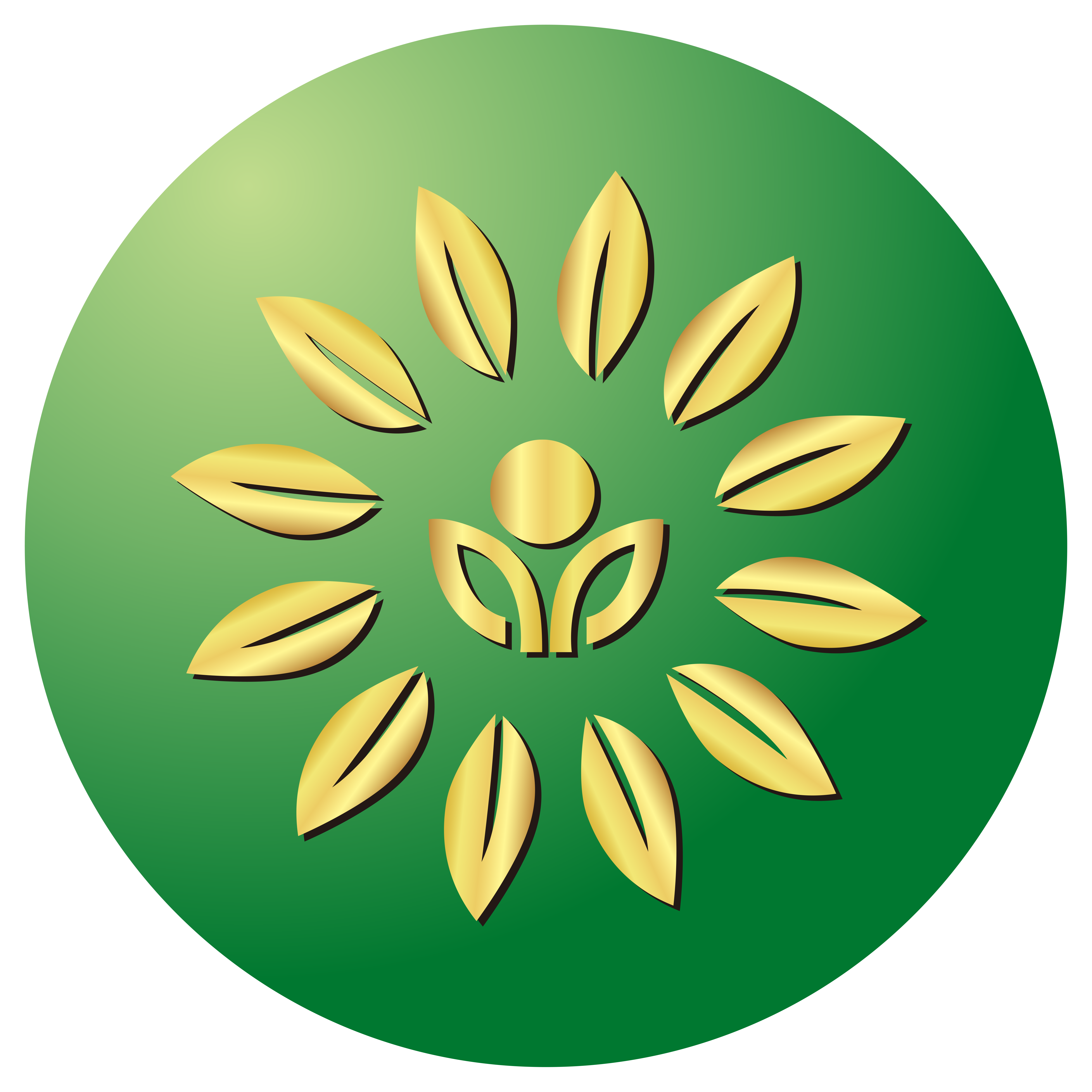 北京置顶环境科技有限公司